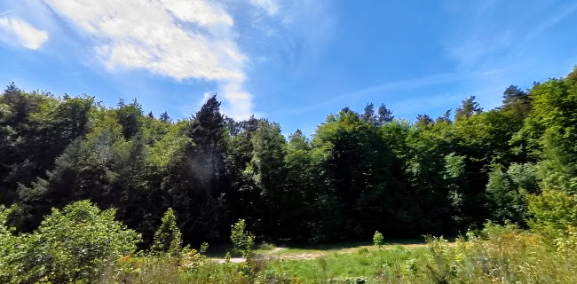 Godziny otwarcia stare boisko sportowe