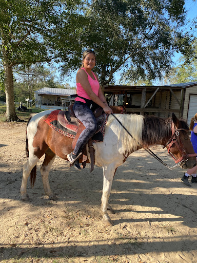 Horserideforfun.com - Thumbnail