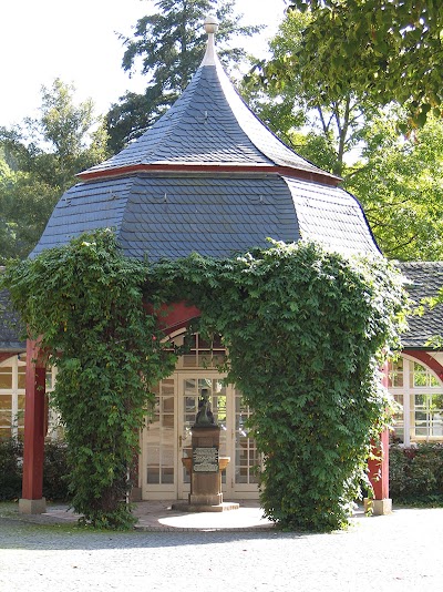 Photos of Spa town of Bad Salzhausen