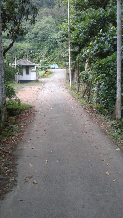 Photos of Court Complex