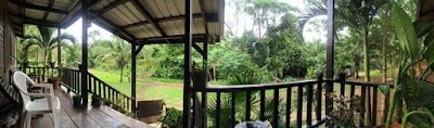 Photos of Lost World Jungle Lodge