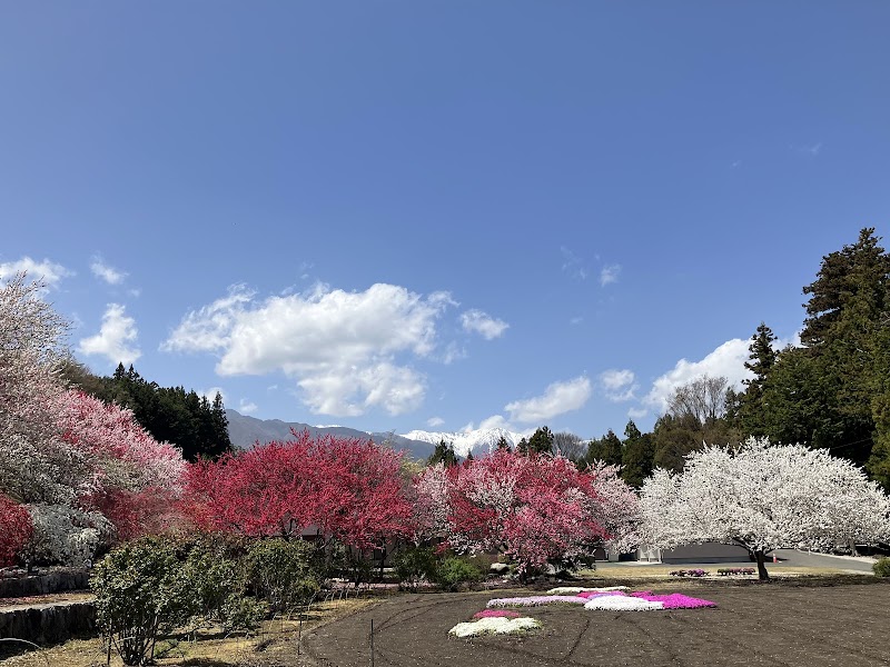 手打そばあるぷす