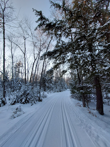 Treehaven UWSP - Visual