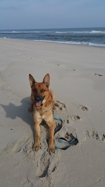 Brighton Avenue Beach