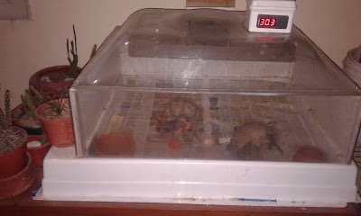 Photos of Veterinaria Exovet
