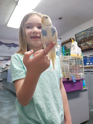 Morrison's Pets - Visual