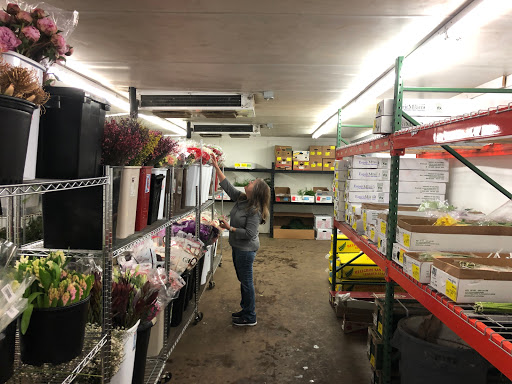 House of Flowers & Gifts - Thumbnail