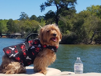 Photos of The Club at Lake Sinclair