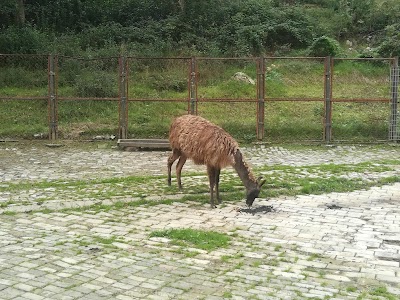 Zoological Park of Tirana