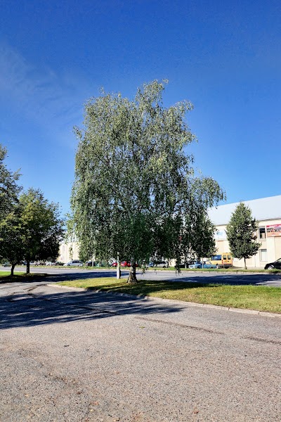 gas-station