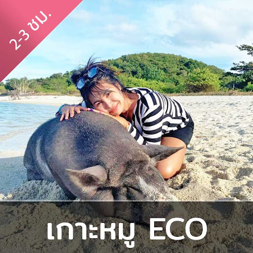 สมุยทัวร์.com - samuitour.net