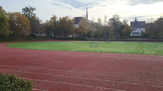 Rezensionen über Sportanlage Liguster in Zürich - Sportstätte