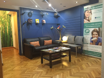 Banda Gastrica Virtual BGV