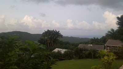 Photos of Naniki