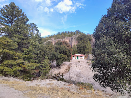 Parque Cueva de los Leones Logo
