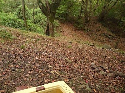 Photos of Mirza Kuchak Khan Forest Park