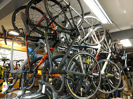 Down Cycles - Visual