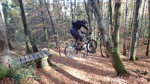 Bike Park de Longchaumois - Thumbnail