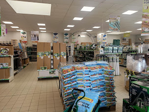 Photo n°8 de Shopix à Appoigny (Bazar)