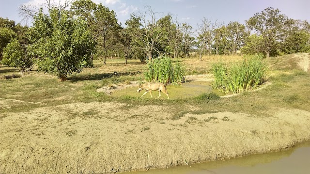 Parc national Hortobágyi