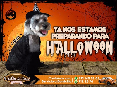 Photos of El Salon del Perro