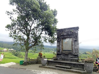 Photos of Jatiluwih Rice Terraces