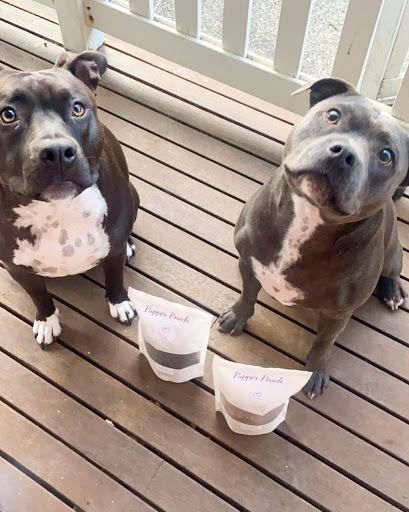 Pupper Pouch - Visual