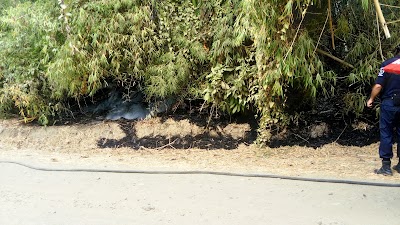 Photos of Parque De Olmedo