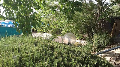 Photos of אגם מים
