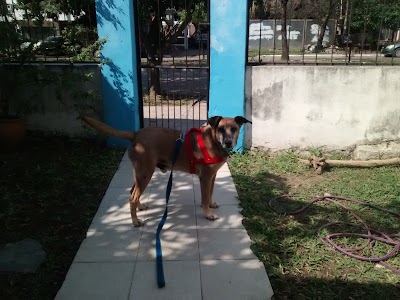 Photos of Cl&iacute;nica Veterinaria Animalia