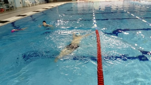 Дворец спорта чехов