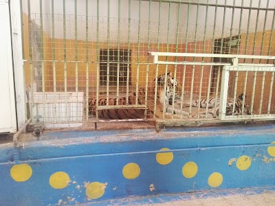 Photos of Zoo - Inside Zawraa Park