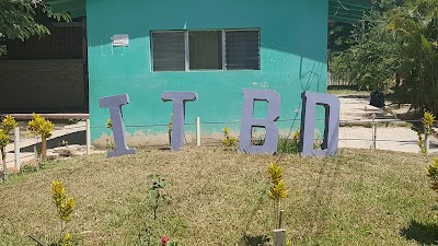 Photos of Brassavola digbyana Technical Institute