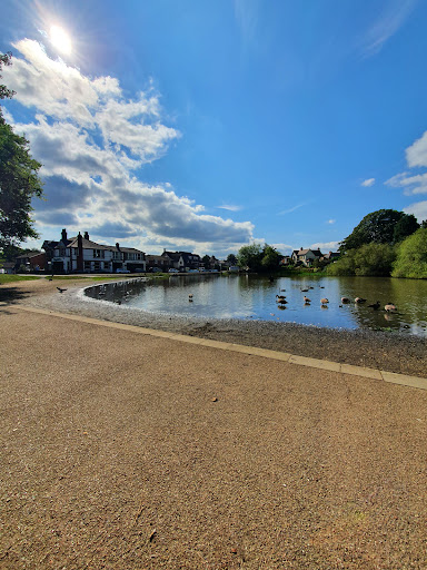 Mere Pond - Visual