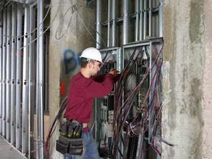 TX Bred Electrical - Visual