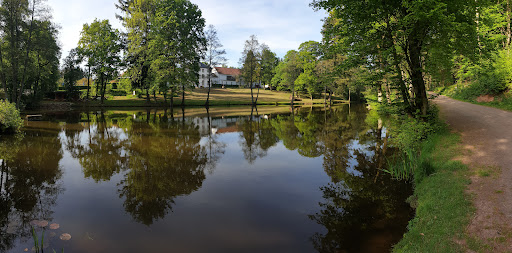 FriedWald - Visual