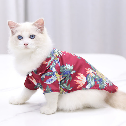 Paw Baby Boutique