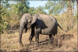 Photo n°3 de El Tucan Viajero à Nice (Agence de voyages)