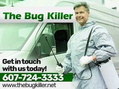 The Bug Killer