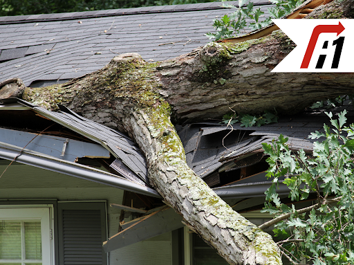 A1 Restoration of Michigan