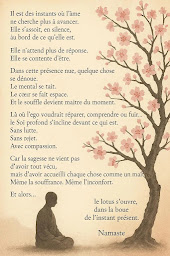 Photo n°7 de Yoga doux - étirement - Méditation - Sabine Wodon à Le Teil (Centre de yoga)