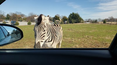 Tennessee Safari Park