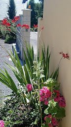 Photo n°13 de Gîte Des Huttes à Bain-de-Bretagne (Gîte)