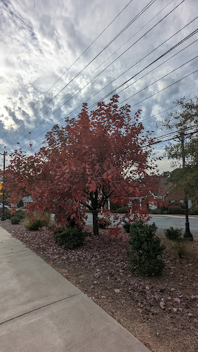Georgetowne Park - Visual