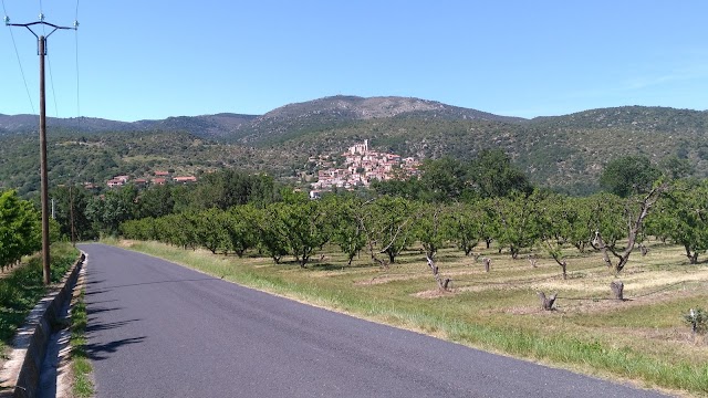 Le Vieux Chêne d'Eus
