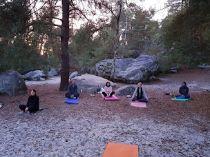 Photo n°18 de Emmanuelle Perrin Naturo Qi Do à Milly-la-Forêt (Thérapeute Reiki)