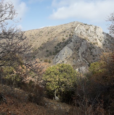 Mount İdris