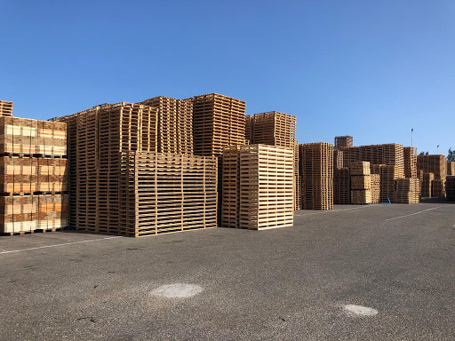 Modon Pallets B.V. - Thumbnail