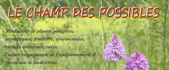 Le champ des possibles