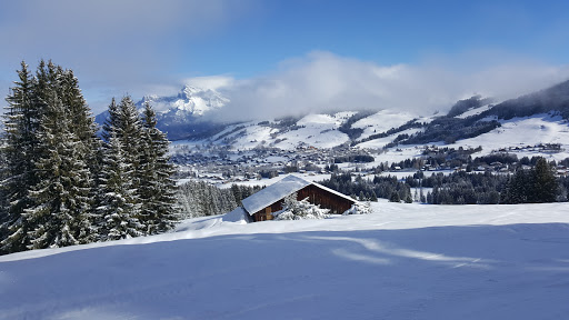 Ski School - Thumbnail